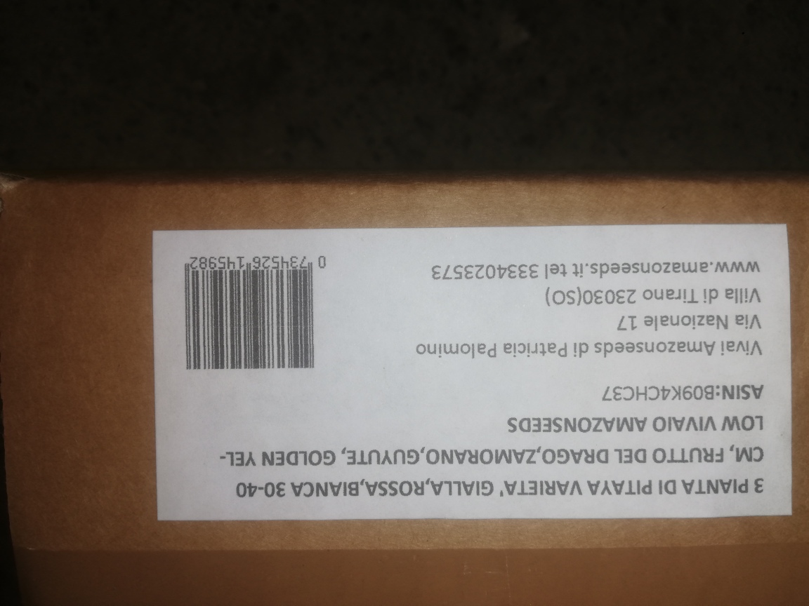 3 Piante Di Pitaya Rossa - Frutto Del Drago Autofecondante 30-40 Cm - Foto 7